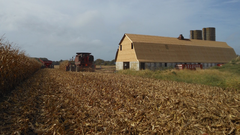 Roland Hill of Love Creek Farm in Lewes harvests corn in the field across from Cape Henlopen High School on Kings Highway in Lewes. Corn yields for the 2015 season are expected to be as high or higher than last year's record-setting season. BY CHRIS FLOOD